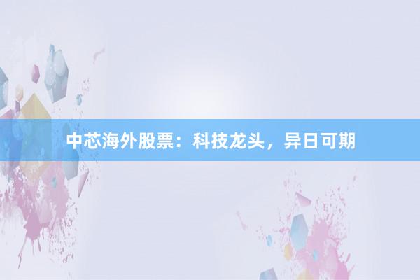中芯海外股票:科技龙头,异日可期